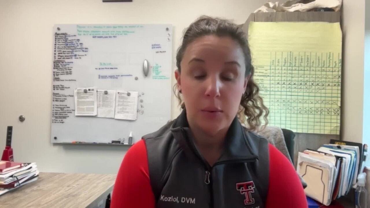 Screwworm Update: Texas Tech Veterinarian Weighs In On New World Screwworm