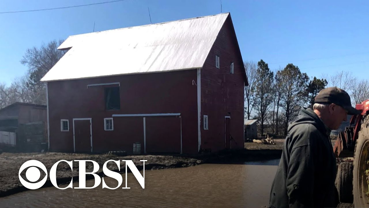 Flood damage to Midwest farmland and livestock could be in the billions