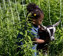 Kid Welcomes Goat