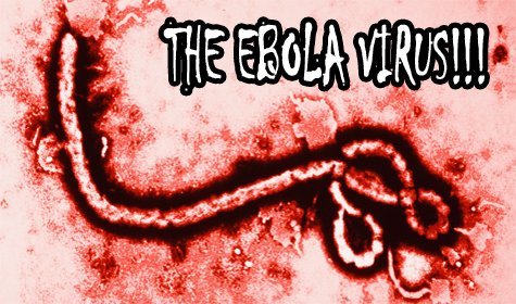 First Diagnosed Case of Ebola In The US Is In Dallas and Why You Should Remain Calm