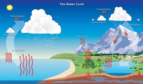 Understanding the Water Cycle
