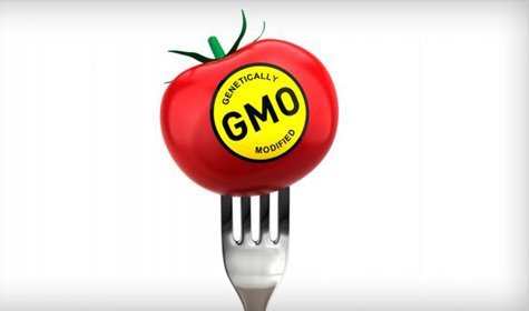 GMO Labeling Laws: Where Are We Now?