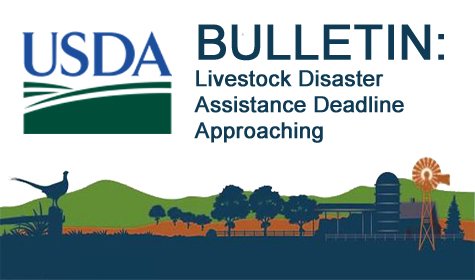 Upcoming Livestock Disaster Assistance Deadline Approaching