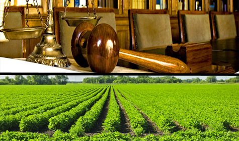 How Do I Select an Agricultural Law Attorney?
