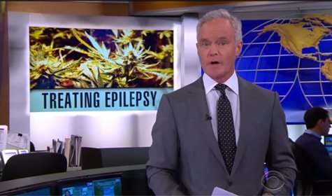 Marijuana Extract Showing Promise In Treatment For Severe Epilepsy In Children [VIDEO]