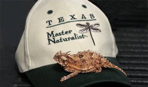 Gideon Lincecum Chapter of Texas Master Naturalist Training Course To Begin