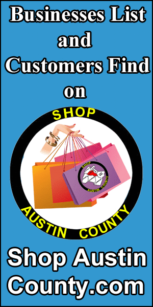 Shop Austin County 300 x 600 Second Try