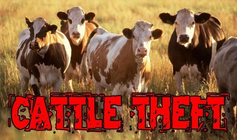 Austin County Sheriff’s Office Warns Of Cattle Theft