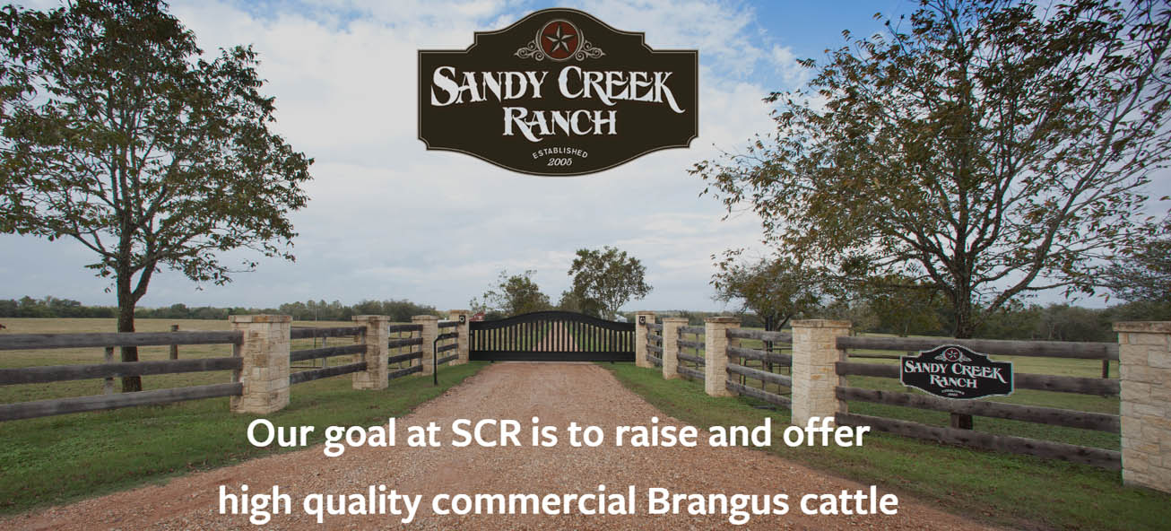 Sandy Creek Ranch Austin County News Online