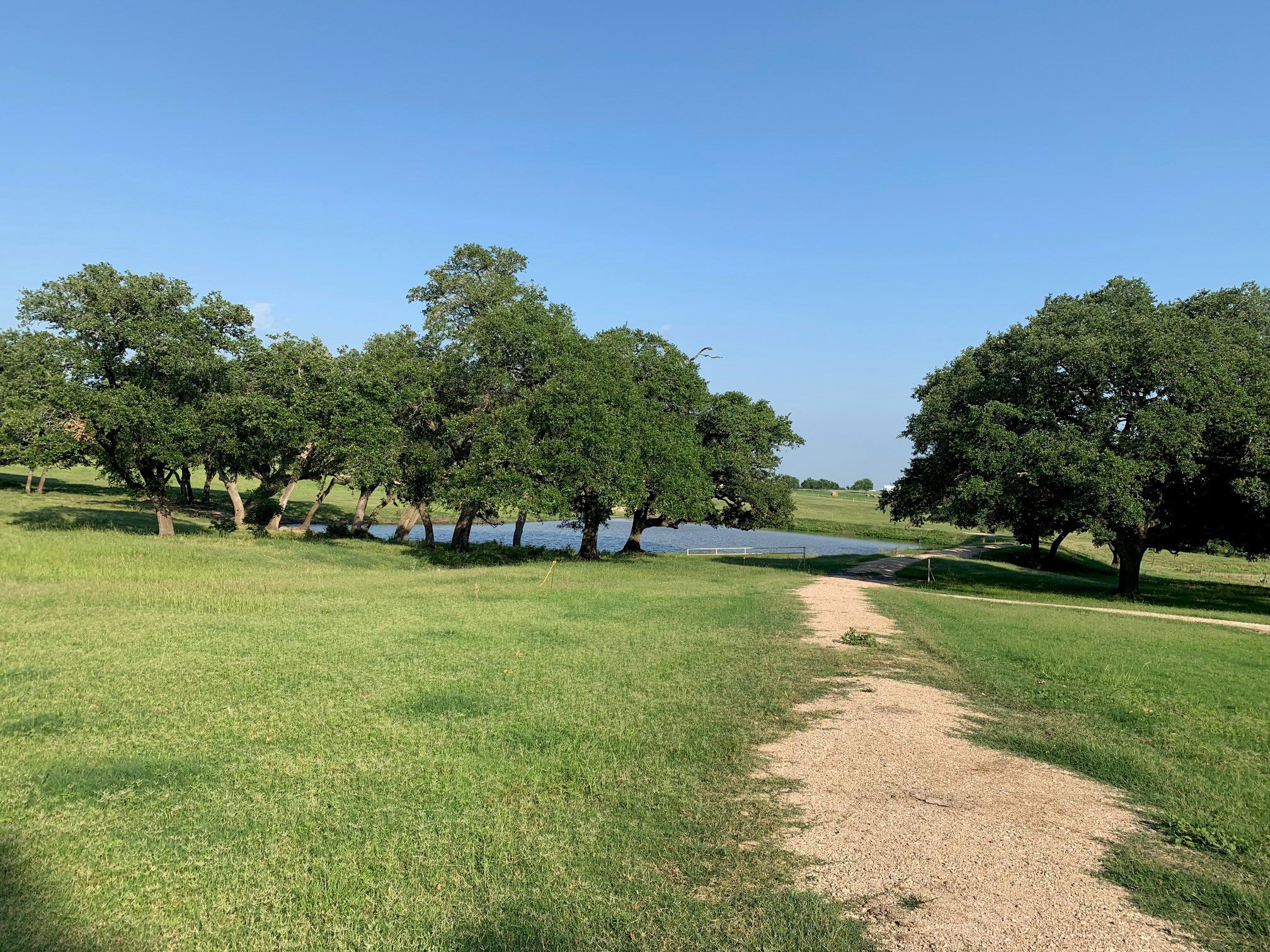 Eunice Kelm gifts 186-acre farm for use by Blinn College Agricultural Sciences